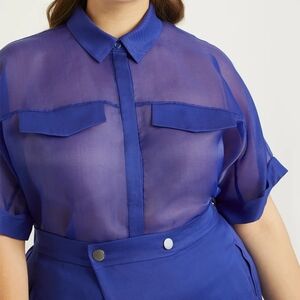Priscilla Ono Sheer Blue Button-Up Blouse